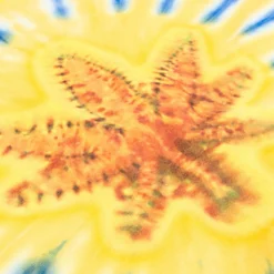 SP X Half Baked Poster Tie Dye Mens Short Sleeve Shirt (Blue/Multi) -Simply Styled 00f3047d93496e93e274c28848c7122e